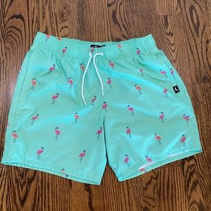 Mens Hollister Swimming Trunks
